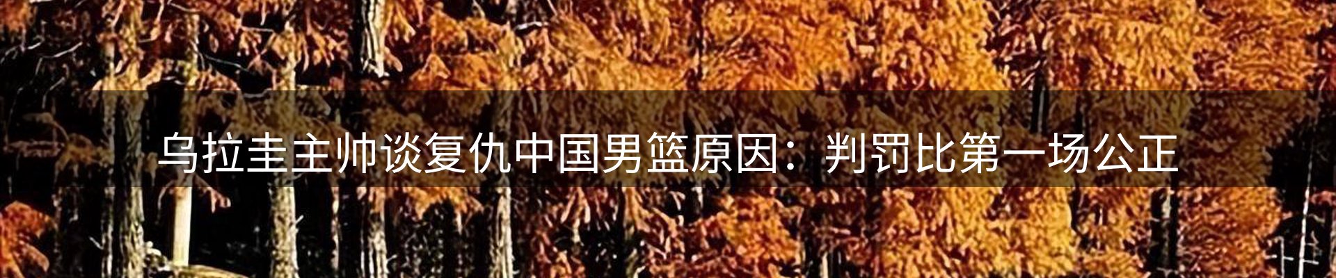 体育资讯