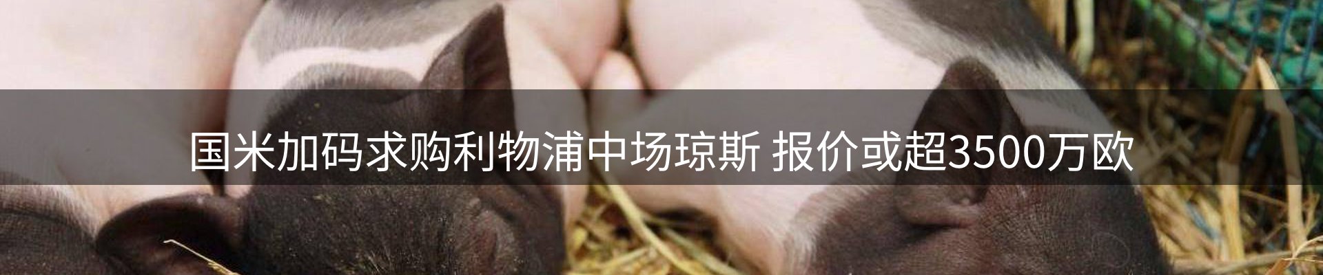 体育资讯