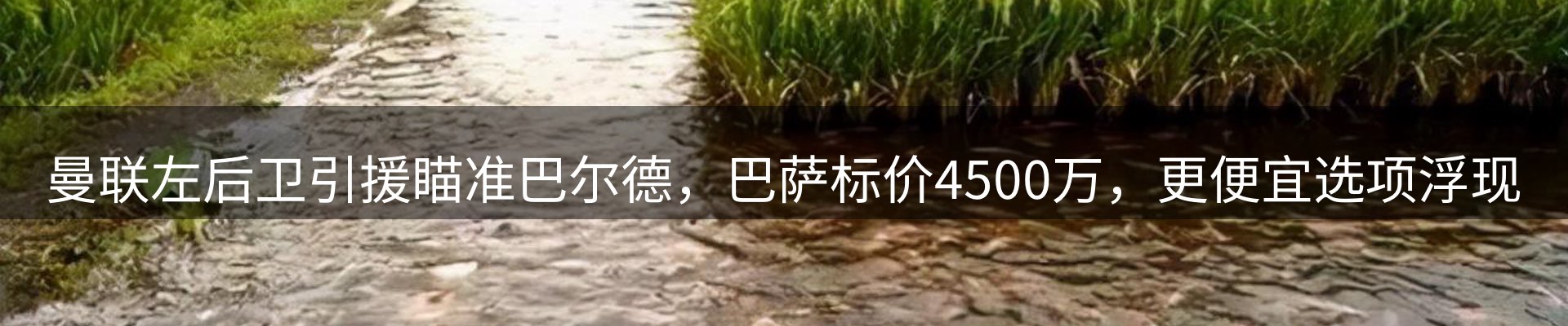 体育资讯
